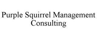 PURPLE SQUIRREL MANAGEMENT CONSULTING