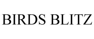 BIRDS BLITZ