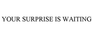 YOUR SURPRISE IS WAITING