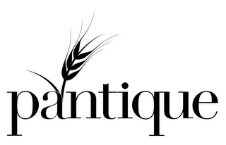 PANTIQUE