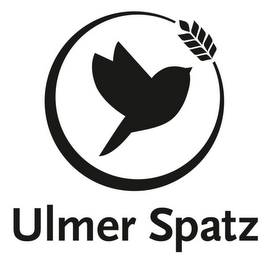 ULMER SPATZ