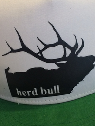 "HERD BULL"