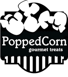 POPPEDCORN GOURMET TREATS