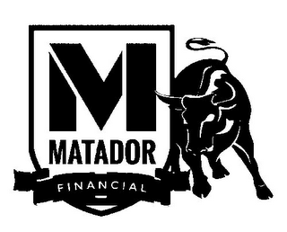 M MATADOR FINANCIAL
