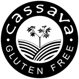 CASSAVA · GLUTEN FREE ·