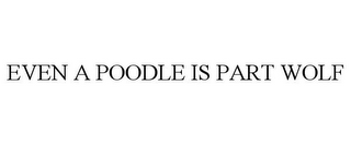 EVEN A POODLE IS PART WOLF