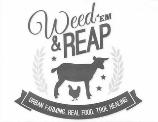 WEED'EM & REAP URBAN FARMING, REAL FOOD, TRUE HEALING