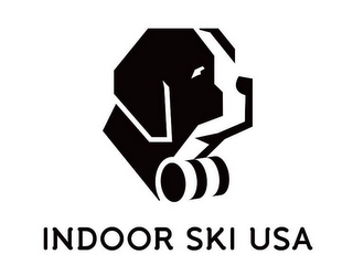INDOOR SKI USA