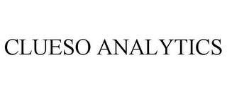 CLUESO ANALYTICS