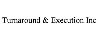 TURNAROUND & EXECUTION INC