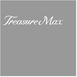 TREASURE MAX