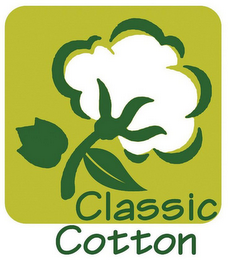 CLASSIC COTTON