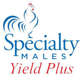 SPECIALTY MALES YIELD PLUS