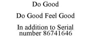 DO GOOD DO GOOD FEEL GOOD IN ADDITION TO SERIAL NUMBER 86741646