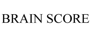 BRAIN SCORE