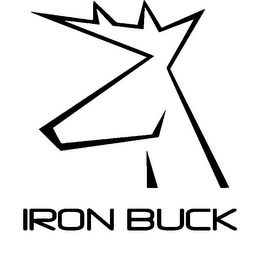 IRON BUCK