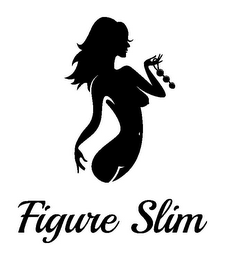 FIGURE SLIM