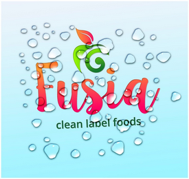 FUSIA CLEAN LABEL FOODS