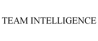 TEAM INTELLIGENCE