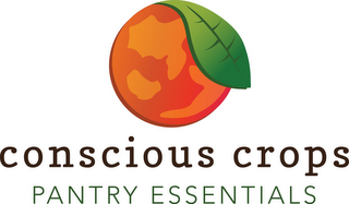 CONSCIOUS CROPS PANTRY ESSENTIALS