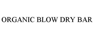 ORGANIC BLOW DRY BAR