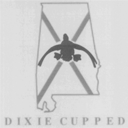 DIXIE CUPPED