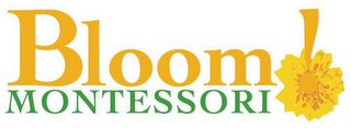 BLOOM MONTESSORI