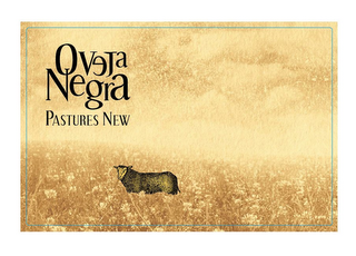 OVEJA NEGRA PASTURES NEW