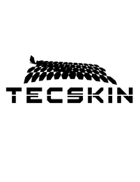 TECSKIN