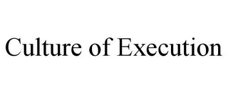 CULTURE OF EXECUTION