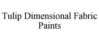 TULIP DIMENSIONAL FABRIC PAINTS