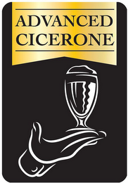 ADVANCED CICERONE