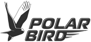 POLAR BIRD