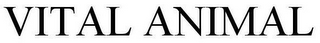 VITAL ANIMAL