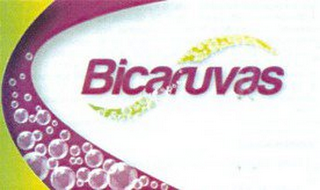 S BICARUVAS