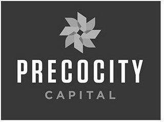 PRECOCITY CAPITAL