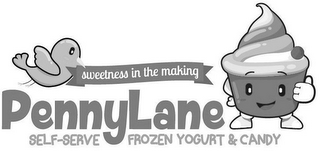 SWEETNESS IN THE MAKING PENNYLANE SELF-SERVE FROZEN YOGURT & CANDY