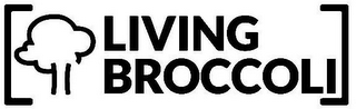 LIVING BROCCOLI