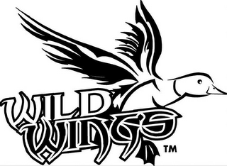 WILD WINGS