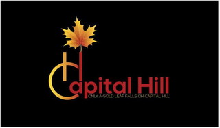 CAPITAL HILL ONLY A GOLD LEAF FALLS ON CAPITAL HILL