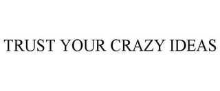 TRUST YOUR CRAZY IDEAS