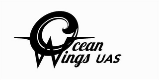 OCEAN WINGS UAS