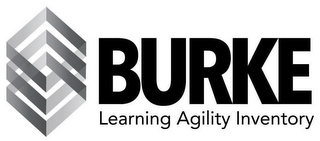 BURKE LEARNING AGILITY INVENTORY