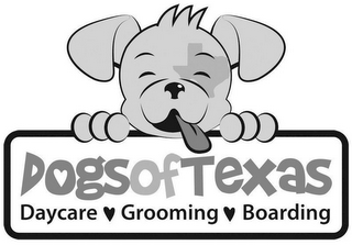 DOGSOFTEXAS DAYCARE GROOMING BOARDING