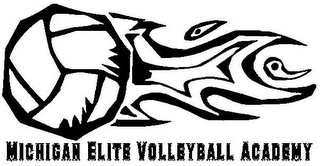 MICHIGAN ELITE VOLLEYBALL ACADEMY