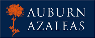 AUBURN AZALEAS