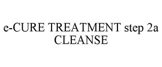 E-CURE TREATMENT STEP 2A CLEANSE