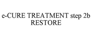 E-CURE TREATMENT STEP 2B RESTORE