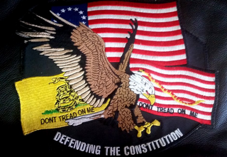 DEFENDING THE CONSTITUTION DONT TREAD ON ME DONT TREAD ON ME