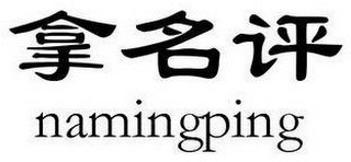 NAMINGPING